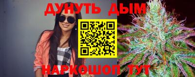 гашик Ливны