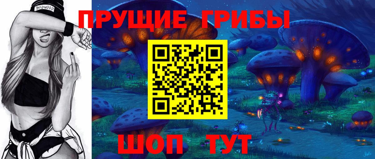 Псилоцибиновые грибы Psilocybe  Вход с VPN  Туймазы 